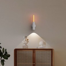 DS186 LED 두얼광원 자화벽등